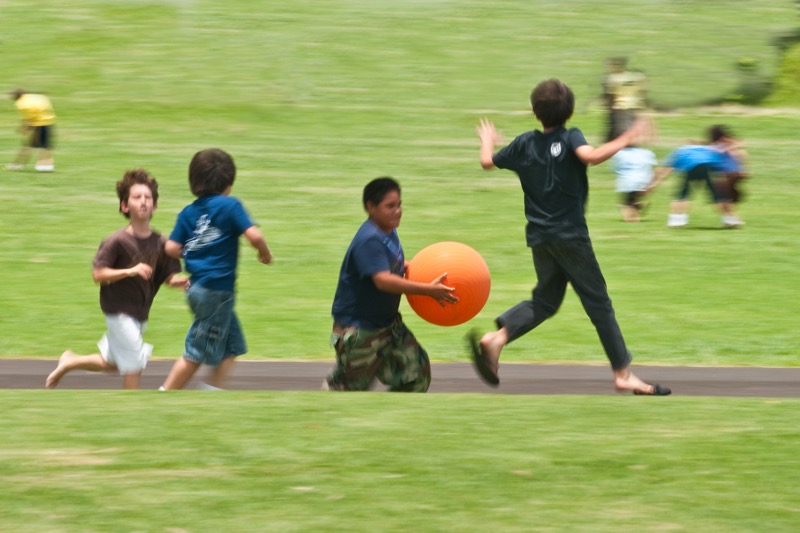 Children can’t play in yards infested with ants. (Photo Credit: Masako Cordray)