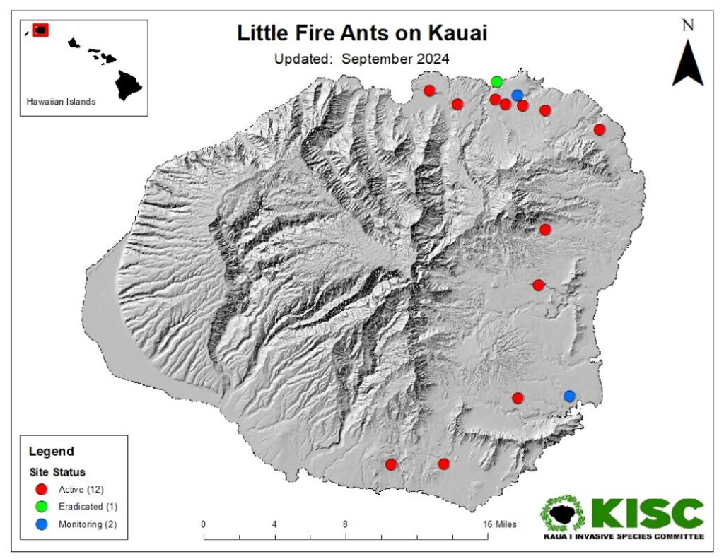 2024 Island of Kauai map with little fire ant locations. 